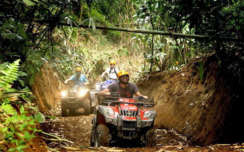 Activities & Ubud Tour Packages - view 1