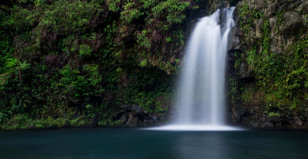 Activities & Ubud Tour Packages - view 3