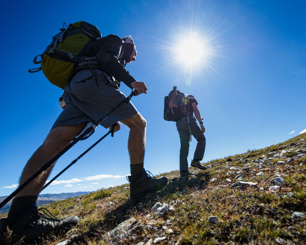 Hikers ascending a sunny mountain trail