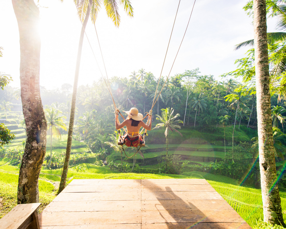 Traveler on a swing above green Bali terraces