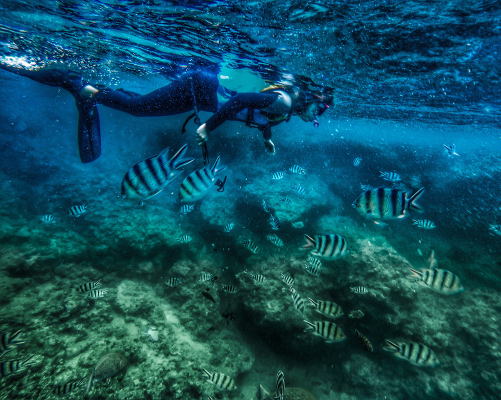 Snorkeling near Nusa Lembongan